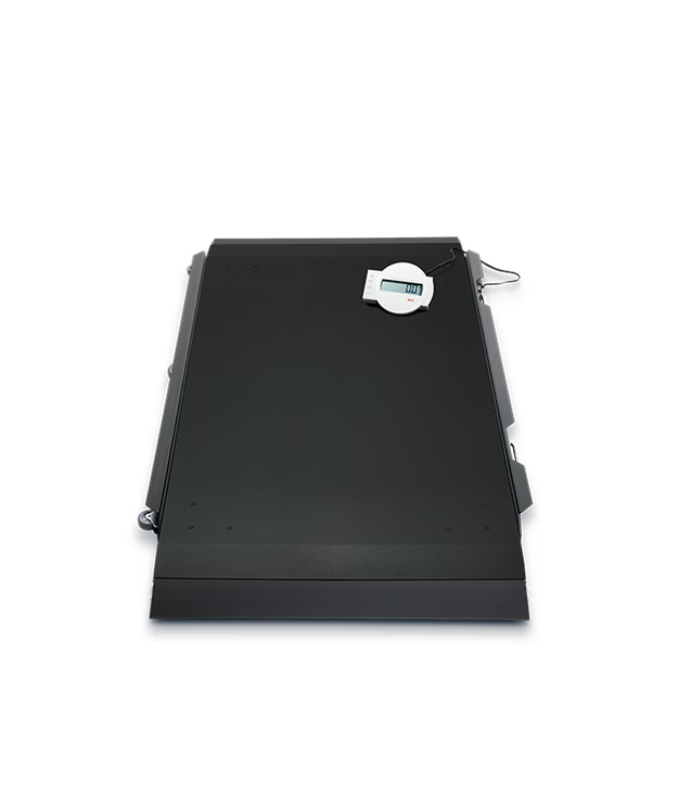 seca 656 - Electronic Stretcher Scales with Duel Integrated Ramps