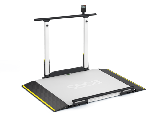 seca Xline Hold - Wheelchair scale with handrail, basic display and RS-232 interface