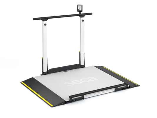 seca Xline Hold - EMR-validated wheelchair scale with handrail, ID-Display and EMR-interface