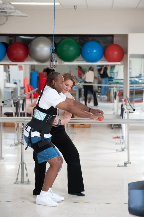 Premium Gait Harness