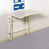 Teorema Project ERGO TABLE INDIVIDUAL WORK AID