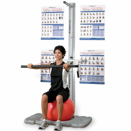 Theraband Rehab Exercise Wall Station