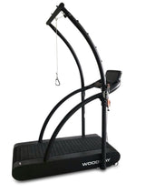 Woodway 4Front Treadmill